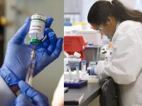 खुशखबर! अंतिम टप्प्यात पोहोचली ऑक्सफोर्डची लस; 'या' महिन्यात दाखल होणार, तज्ज्ञांचा दावा - Marathi News | CoronaVirus News : Conavirus oxford vaccine in final stage of clinical trials | Latest health Photos at Lokmat.com