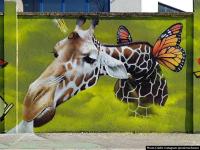 आकर्षक रंगवलेल्या भिंती तुम्ही कधीही पाहिल्या नसतील... - Marathi News | Look at the beautifull painted walls | Latest jarahatke Photos at Lokmat.com