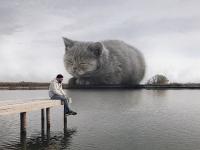 फोटो : समजा जर मांजर आता आहे त्यापेक्षा मोठ्या आकाराची असती तर.... - Marathi News | Russian Artist Creates Images That Show How Earth Would Look If Cats Were A Lot Bigger | Latest social-viral Photos at Lokmat.com