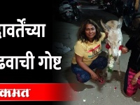 सदावर्तेंनी पाळलाय चक्क गाढव... या गाढवाची सोशल मीडियावर चर्चा | Gunaratna Sadavarte keeping donkey