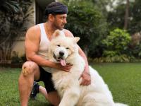 सलमान खानने पहिल्यांदाच शेअर केला त्याच्या गोंडस कुत्र्याचा फोटो; नाव ठेवलंय खूपच खास - Marathi News | Salman Khan shares a photo of his cute dog for the first time netizens love it | Latest filmy News at Lokmat.com