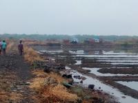 ओखी वादळाच्या तडाख्याने पश्चिम किनार पट्टीवरील मिठ उत्पादकांचे नुकसान - Marathi News | Damage to the salt growers on the west coast bar by the storm of oak storm | Latest thane Photos at Lokmat.com