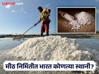 कोणत्या देशात घेतलं जातं मिठाचं सगळ्यात जास्त उत्पादन? भारत कोणत्या नंबरवर? - Marathi News | Which country get more salt production | Latest jarahatke Photos at Lokmat.com