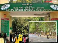 नॅशनल पार्कमध्ये मॉर्निंग वॉकसाठी द्यावे लागणार १० हजार; ४५ रुपयांचा पास ५ हजारांना, नागरिकांचा संताप - Marathi News | Walking Becomes Costly in Mumbai SGNP Hikes Morning Walk Fees by 11000 percent Citizens Outraged | Latest mumbai News at Lokmat.com
