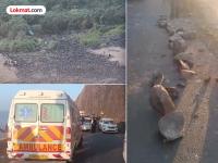 सप्तशृंगी गडावर काळाचा घाला; संरक्षक कठडा तोडून कार खोल दरीत कोसळली; ५ जण दगावल्याची भीती - Marathi News | Car falls into valley at Saptashrungi Gad Ghat Five killed | Latest nashik News at Lokmat.com सप्तशृंगी गडावर काळाचा घाला; संरक्षक कठडा तोडून कार खोल दरीत कोसळली; ५ जण दगावल्याची भीती - Marathi News | Car falls into valley at Saptashrungi Gad Ghat Five killed | Latest nashik News at Lokmat.com