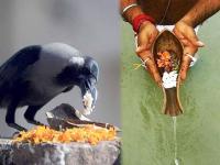Sarvapitri Amavasya 2021: सर्वपित्री अमावास्येला कोणाचे श्राद्ध विधी करावे? पाहा, मान्यता, मुहूर्त, शुभ योग - Marathi News | pitru paksha 2021 shradh vidhi shubh muhurat yoga on sarva pitru amavasya 2021 | Latest bhakti Photos at Lokmat.com
