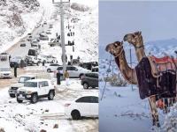 वाळवंटी सौदीच्या बर्फाने डाव मांडला! विश्वास बसेना, पण अरब व्हिडीओ पोस्ट करू लागले...; उणे ४ अंशांवर गेला पारा - Marathi News | Snow in the desert of Saudi Arabia has set a plan! Unbelievable, the arid desert turned white; The mercury dropped to minus 4 degrees | Latest international News at Lokmat.com