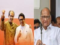 ठाकरे बंधूंकडून मुंबईत शरद पवारांना १५ जागांचा प्रस्ताव? अपेक्षित प्रतिसाद नसल्याने कोंडी! - Marathi News | bmc election 2026 thackeray brothers likely to give only 15 seats to sharad pawar ncp in mumbai confusion due to lack of expected response | Latest mumbai News at Lokmat.com