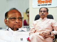 “दोन्ही NCP एकत्र येणार असतील, तर शरद पवार गटासोबत जाणार नाही”; उद्धवसेनेने स्पष्टच सांगितले - Marathi News | thackeray group sachin ahir make clear that if both the ncp are going to come together we will not go with ncp sharad pawar group | Latest maharashtra News at Lokmat.com “दोन्ही NCP एकत्र येणार असतील, तर शरद पवार गटासोबत जाणार नाही”; उद्धवसेनेने स्पष्टच सांगितले - Marathi News | thackeray group sachin ahir make clear that if both the ncp are going to come together we will not go with ncp sharad pawar group | Latest maharashtra News at Lokmat.com