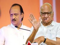 शरद पवारांचा विश्वासू मोठा नेता अजितदादांच्या गळाला?; राजकीय चर्चांना उधाण - Marathi News | NCP Sharad Pawar's loyal big leader will join Ajit pawar Group? | Latest maharashtra Photos at Lokmat.com