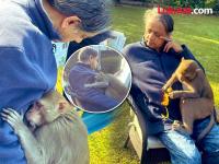 शशी थरुरांसोबत घडली अनपेक्षित घटना; माकडाच्या भेटीनंतर म्हणाले, "माझा विश्वास खरा ठरला" - Marathi News | An unexpected incident happened with Shashi Tharoor; After meeting the monkey, he said, My faith proved true | Latest national Photos at Lokmat.com