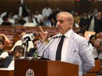 खायचे वांदे, तरीही पाकिस्तान सुधरेना; पंतप्रधान शरीफ यांनी पुन्हा 'काश्मीर राग' आळवला! - Marathi News | pakistan-pm-shehbaz-sharif-reiterates-diplomatic-political-and-moral-support-to-kashmiris-commented-on-nehru-article-370-india-government | Latest international Photos at Lokmat.com