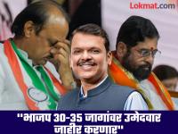 भाजपची पहिली यादी ऑगस्ट अखेरीस? महाराष्ट्रात शिंदे, अजित पवारांचे काय? मोठी रणनिती - Marathi News | By the end of August, the first BJP list will be out; What about Shinde, Ajit Pawar in Maharashtra? Grand strategy | Latest maharashtra Photos at Lokmat.com