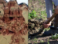 बम बम भोले! नदी किनारी वाळूमध्ये सुरू होतो खोदकाम, शेकडो वर्ष जुनं शिव मंदिर सापडलं... - Marathi News | Ancient Lord Shiva's Temple Buried In River Sand Unearthed In Andhra Pradesh's Nellore | Latest jarahatke Photos at Lokmat.com