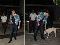 सिद्धार्थ मल्होत्राचं 'हे' प्रेमप्रकरण सगळेच पाहत राहिले! - Marathi News | Sidharth Malhotra spotted playing with stray dog at bkc in mumbai | Latest mumbai Photos at Lokmat.com