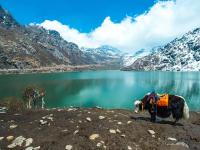 देशातील 'या' ठिकाणी फिरण्यासाठी घ्यावी लागते परवानगी, जाणून घ्या कारण... - Marathi News | these places in india you need permit for travel | Latest travel Photos at Lokmat.com