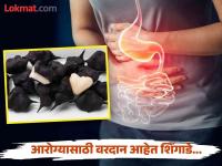 तुम्हालाही माहीत नसतील हिवाळ्यात मिळणाऱ्या शिंगाड्याचे फायदे, वाचाल तर रोज खाल! - Marathi News | Benefits of eating Singhara or water chestnut in winter | Latest food Photos at Lokmat.com