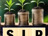 'या' म्युच्युअल फंडात अवघ्या १०,००० च्या SIP मधून कमावले १.१२ कोटी रुपये; कसं आहे गुंतवणुकीचं गणित? - Marathi News | this mutual fund scheme made you rs 1 12 crore from a sip of rs 10000 | Latest business Photos at Lokmat.com