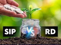 SIP vs RD: कशात पैसे गुंतवल्यास तुम्हाला जास्त मिळेल रिटर्न? जाणून घ्या फरक - Marathi News | mutual fund SIP vs RD Which investment will give you higher returns know the difference before investing | Latest business Photos at Lokmat.com