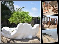 जबरदस्त अन् शानदार! मुंबईकरांना मिळालं नवं पर्यटनस्थळ; फोटो पाहून तुम्हीही पडाल प्रेमात - Marathi News | Mumbai get new tourist destination at Mahim Beach; You too will fall in love with the photos | Latest mumbai Photos at Lokmat.com