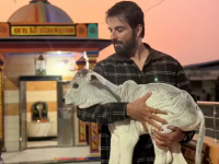 "गायींचे संवर्धन संपूर्ण भारतात राबवले पाहिजे" सोनू सूदने गोशाळेला केली २२ लाखांची मदत - Marathi News | Sonu Sood Donated 22 Lakh Varahi Gaushala Cow Shelter Patan Gujarat | Latest filmy News at Lokmat.com