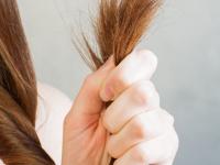 केसांना फाटे का फुटतात? बघा कारणं आणि ३ सोपे उपाय, कोरडेपणा जाऊन केस होतील मऊ - Marathi News | major reasons for split hair, how to get rid of split hair, best home made hair mask for split hair | Latest sakhi Photos at Lokmat.com