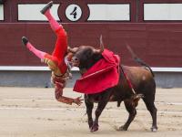 'हे' आहेत जगातील सर्वात धोकादायक खेळ; जीव जाण्याचाही धोका - Marathi News | most intense and dangerous sports of ancient world | Latest jarahatke Photos at Lokmat.com