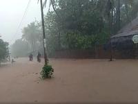 सिंधुदुर्ग जिल्ह्यात मुसळधार पावसाचे थैमान - Marathi News | Heavy rains in Sindhudurg district | Latest sindhudurga Photos at Lokmat.com