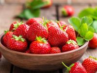 कौतुक करावं तेवढं कमी! देशाची ८०% स्ट्रॉबेरी पिकवतंय महाराष्ट्राचं 'हे' शहर; परदेशातही वाढलीये क्रेझ - Marathi News | There is so little to praise! 'This' city in Maharashtra grows 80% of the country's strawberries; The craze has grown abroad too | Latest maharashtra Photos at Lokmat.com