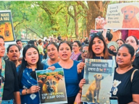 Protest: आधी ‘शेल्टर’ची व्यवस्था करा, नंतरच श्वानांना हात लावा; प्राणीमित्र संघटना रस्त्यावर! - Marathi News | Youth Congress, Animal Rights Activists Protest BMC Action Against Stray Dogs at Shivaji Park | Latest mumbai News at Lokmat.com Protest: आधी ‘शेल्टर’ची व्यवस्था करा, नंतरच श्वानांना हात लावा; प्राणीमित्र संघटना रस्त्यावर! - Marathi News | Youth Congress, Animal Rights Activists Protest BMC Action Against Stray Dogs at Shivaji Park | Latest mumbai News at Lokmat.com