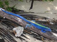 'या' फोटोंवरून कळतं आपल्याला आश्चर्यचा धक्का देण्यात निसर्गाला चांगलीच मजा येते! - Marathi News | 22 photos that prove nature will never get tired of surprising us | Latest social-viral Photos at Lokmat.com