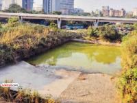 धक्कादायक वास्तव! हा बघा मुंबई विद्यापीठाच्या क्रीडा संकुलातील ‘जलतरण तलाव’ - Marathi News | Shocking reality! Check out the 'swimming pool' in Mumbai University's sports complex | Latest mumbai News at Lokmat.com