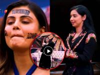 Bigg Boss 19: तान्यावर एवढा कसला राग? क्रिकेटरची बहीण मालतीने थेट मित्तल मॅडमच्या कानाखालीच लगावली, काय घडलं? - Marathi News | Bigg Boss 19 tanya mittal nominated malti chahar cricketer sister slap her video | Latest filmy News at Lokmat.com