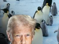 आता हद्द झाली! डोनाल्ड ट्रम्प यांनी पेंग्विनलाही सोडलं नाही; १० टक्के लावला टॅरिफ - Marathi News | Trump levies 10% tariffs on Heard and McDonald Islands where no one lives | Latest business Photos at Lokmat.com