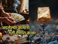 १७ ते २३ मे : अडलेल्या कामांना गती देणारा काळ, फक्त घ्या 'ही' काळजी; वाचा साप्ताहिक टॅरो भविष्य - Marathi News | Tarot Card May 17 to 23: Time to speed up stalled work, just take 'this' care; Read weekly tarot prediction | Latest bhakti Photos at Lokmat.com