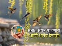 Tarot Card: संयम ठेवा, आठवड्याच्या शेवटी सगळं छानच होईल; वाचा साप्ताहिक टॅरो भविष्य - Marathi News | Tarot Card: Be patient, everything will be fine by the end of the week; Read your weekly tarot prediction | Latest bhakti Photos at Lokmat.com