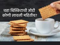 Jara Hatke: बिस्किट चहात बुडवून खायचं हे ठरवलं कुणी? कशी होती बिस्किटांची मूळ चव? माहितीय? - Marathi News | Jara Hatke: Who decided to dip biscuits in tea and eat them? What was the original taste of biscuits? Do you know? | Latest jarahatke News at Lokmat.com