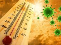 Coronavirus: ६० अंश सेल्सियस तापमानातही जिवंत राहतो कोरोना; शास्त्रज्ञांचा दावा - Marathi News | Coronavirus: Corona survives even at 60 degrees Celsius; Scientists claim vrd | Latest international Photos at Lokmat.com