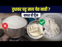 दूधावर येईल जाड आणि घट्ट साय | Best Way to Get Thick Malai from Milk | Kitchen hacks | RI 3 