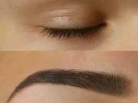 किती दिवस आयब्रो पेन्सिल वापरणार? भरीव, दाट, काळ्याभोर भुवयांसाठी एरंडेल तेल बेस्ट - फरक दिसेल चांगला... - Marathi News | thicker eyebrows naturally at home eyebrow growth tips using castor oil natural remedies for eyebrow growth | Latest sakhi Photos at Lokmat.com