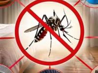 तुमच्या बेडरूममध्ये ७ गोष्टी असतील तर डास रात्रभर छळणारच! शांत झोपेसाठी आजच या वस्तू बाहेर काढा... - Marathi News | things that attract mosquitoes in bedroom remove these 7 items from your bedroom to avoid mosquitoes | Latest sakhi Photos at Lokmat.com