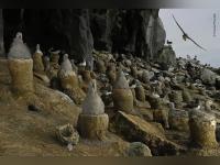 2019 मधील 35 बेस्ट Wildlife Photos, फोटोग्राफरच्या टॅलेंटला कराल सलाम! - Marathi News | 20 best wildlife photos of 2019 | Latest social-viral Photos at Lokmat.com