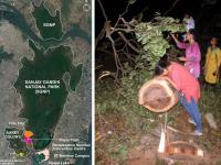 काय आहे आरेचा वाद? काय काय घडलं गेल्या 24 तासांत? - Marathi News | what happened in aarey forest in last 24 hours | Latest mumbai Photos at Lokmat.com