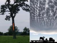 फोटोशॉप नाही तर ही आहे निसर्गाची किमया, अप्रतिम फोटो नक्की पाहा - Marathi News | amazing photos that are not photoshoped | Latest jarahatke Photos at Lokmat.com