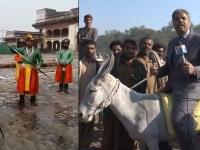 पाकिस्तानमधल्या पत्रकाराचं भन्नाट रिपोर्टिंग; फोटो पाहून खो-खो हसाल - Marathi News | amin hafeez geo news reporter of pakistan become king while live reporting | Latest jarahatke Photos at Lokmat.com