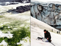 'या' कारणाने हिरवा होत आहे अंटार्क्टिकातील पांढराशुभ्र बर्फ, वैज्ञानिकही झाले हैराण.... - Marathi News | Antarctica snow turning green due to climate change and algae blooms api | Latest international Photos at Lokmat.com