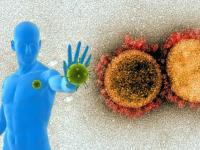 Coronavirus : कोरोना व्हायरस इम्यून सिस्टीमला कन्फ्यूज करतो आणि सुरू होतं जीवन-मृत्यूचं 'युद्ध'! - Marathi News | Coronavirus : Expert says Cytokine storm syndrome deadly effect on covid-19 patients api | Latest health Photos at Lokmat.com