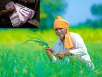 तुमच्या पीककर्जाची नोंद सातबारावर आहे का? वाचा सविस्तर - Marathi News | Is your crop loan registered with Satbara? Read in detail | Latest maharashtra Photos at Lokmat.com