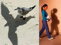 हा खेळ सावल्यांचा...! - Marathi News | This game is about shadows ...! | Latest jarahatke Photos at Lokmat.com
