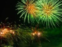 दिवाळीसाठी बाजारात आले ग्रीन फटाके; काय आहे यामध्ये खास? जाणून घ्या - Marathi News | Green crackers come on the market for Diwali; What's special about what's in it? Know about | Latest environment Photos at Lokmat.com